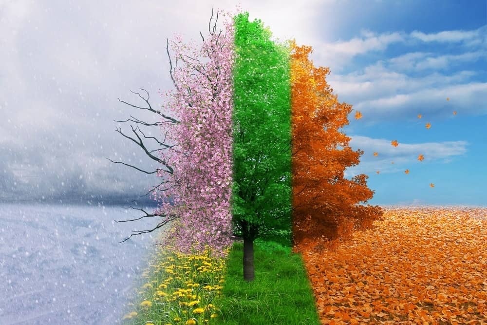 بهترین سن برای عمل بینی کدام فصل بهتر است؟