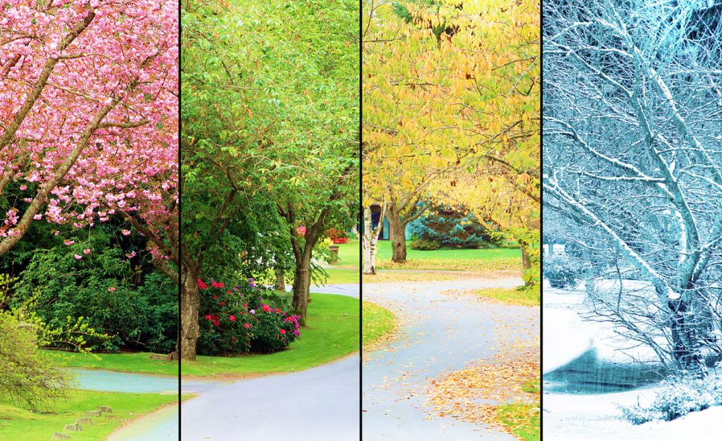 بهترین زمان برای عمل بینی